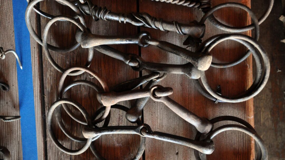 Embout De Mors Snaffle Professional Equine – Anneau 5 D – Occasion