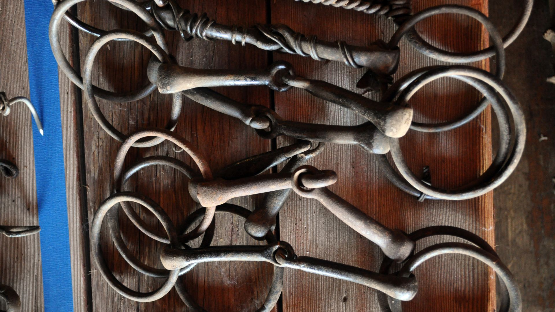 Snaffle Bits 101 The Horse Owner's Guide To Types And Uses