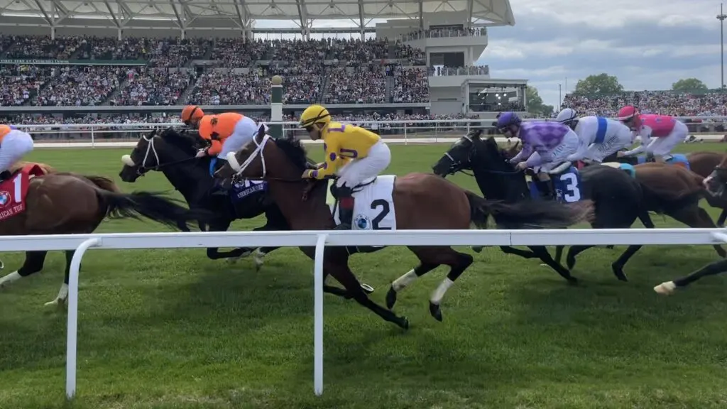 Picture of a turf race, which can make betting on horse racing more challenging.