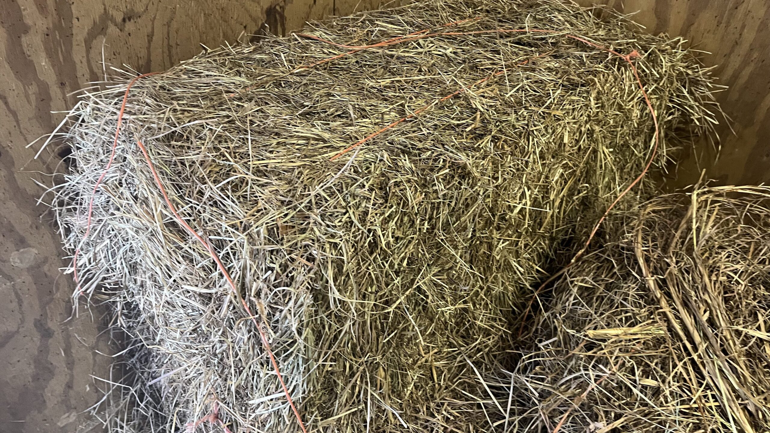 Picture of a bale of bermudagrass hay.
