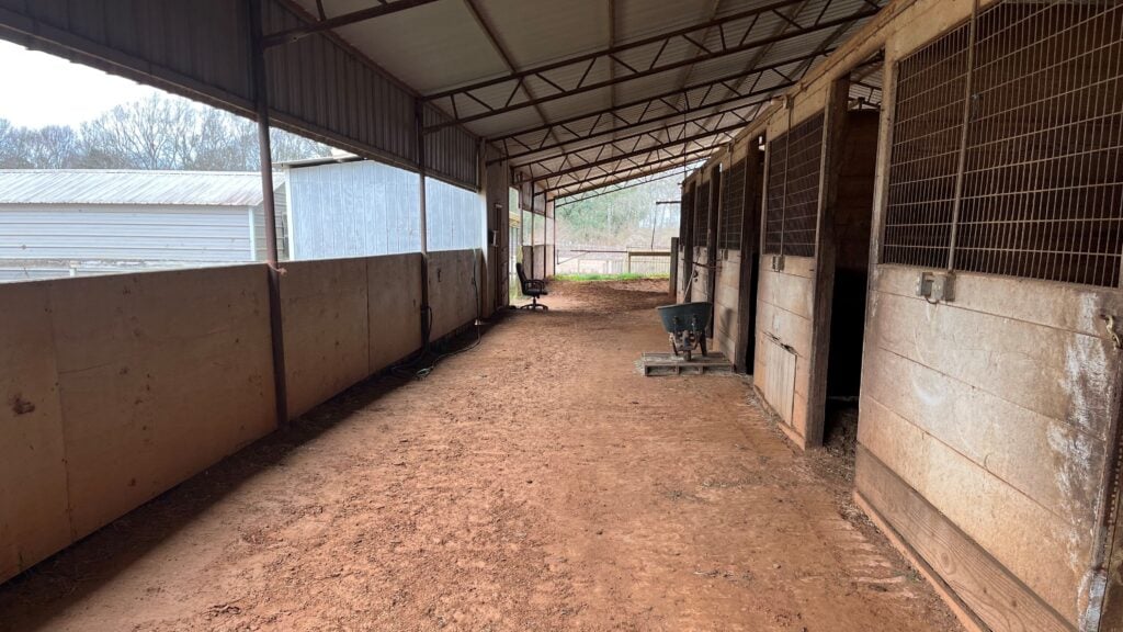 Open shedrow barn design with good airflow for horses.