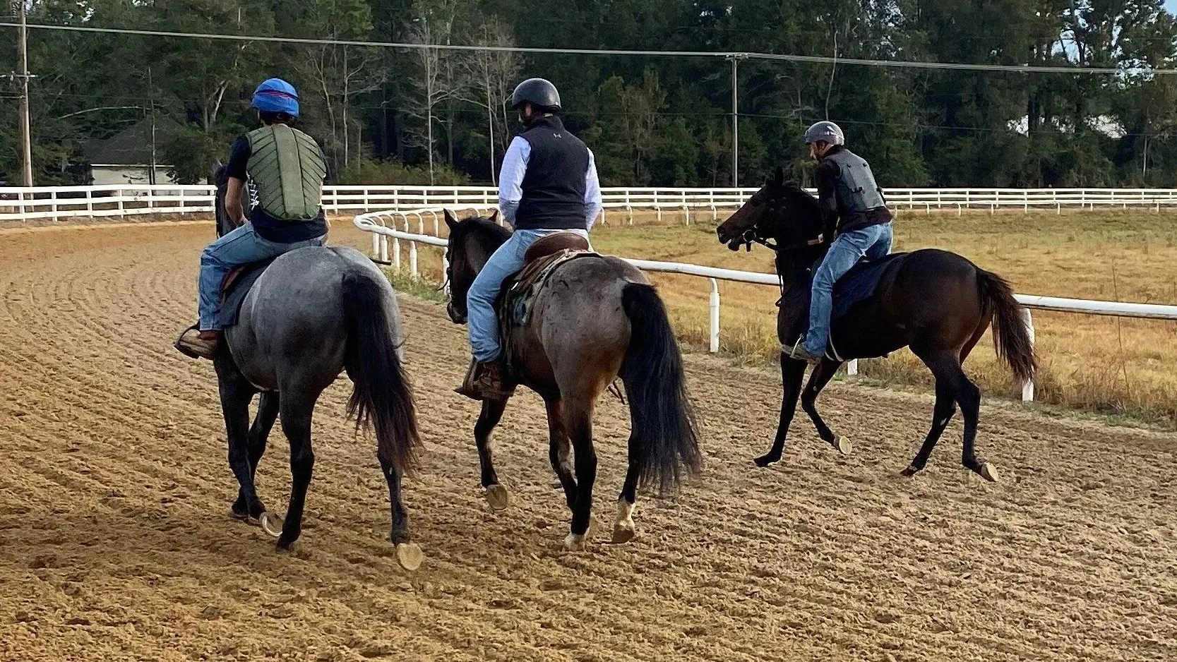 Picture of two roan horses and a bay horse on a training track. 