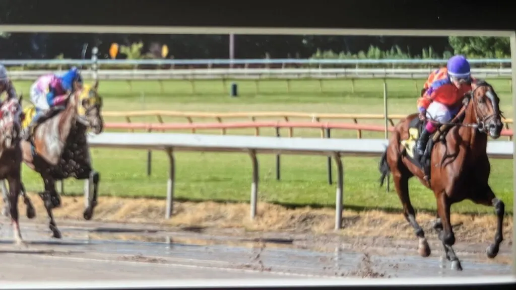 Picture of our horse Ashton winning a race by six lengths. 