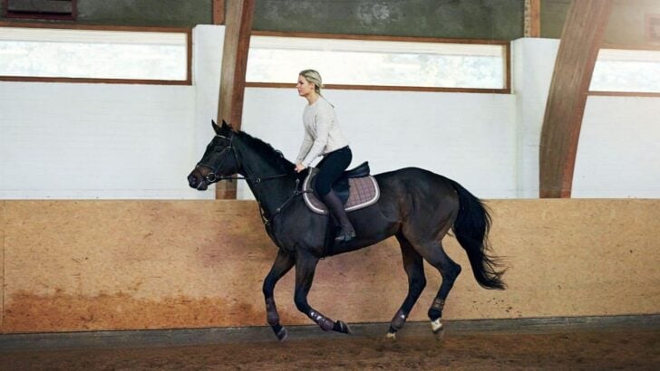 Horse buyer evaluating a horse during a trial ride in an outdoor arena