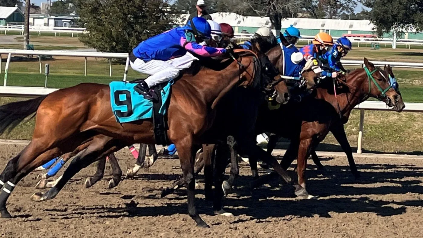 Why Do Horses Race CounterClockwise? Left Is Right