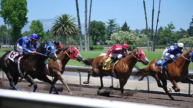 Picture of quarter horses racing. 