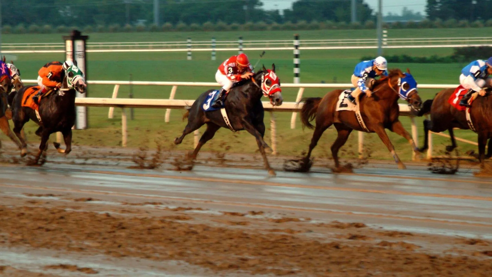 Why Do Jockeys Hit Horses, Does Whipping Make It Run Faster