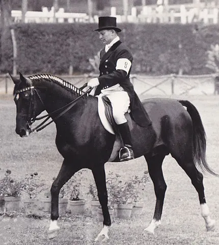 Picture of Absinthe an&nbsp;Akhal-Teke obtained the first world record for the number of Olympic titles in the&nbsp;dressage.