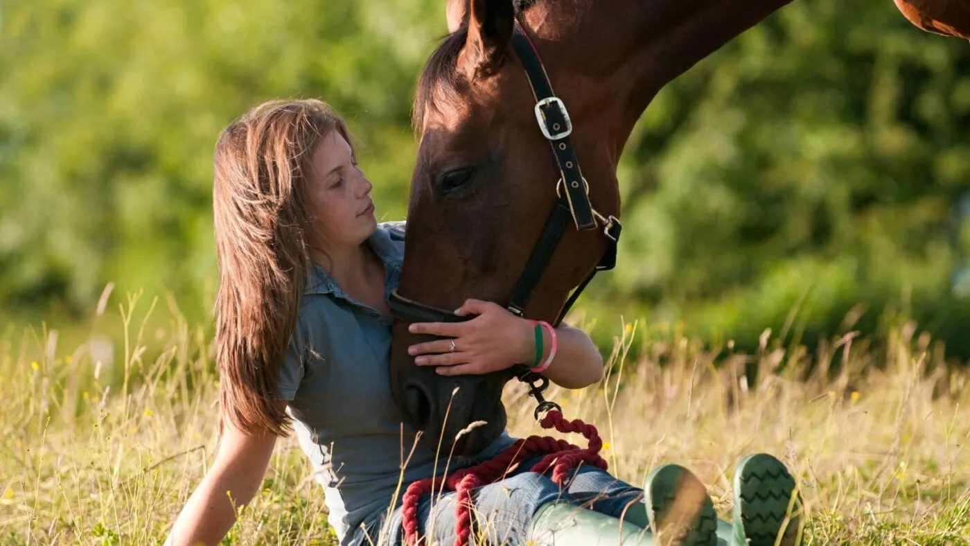 Horses offer comfort and support to humans in times of stress.
