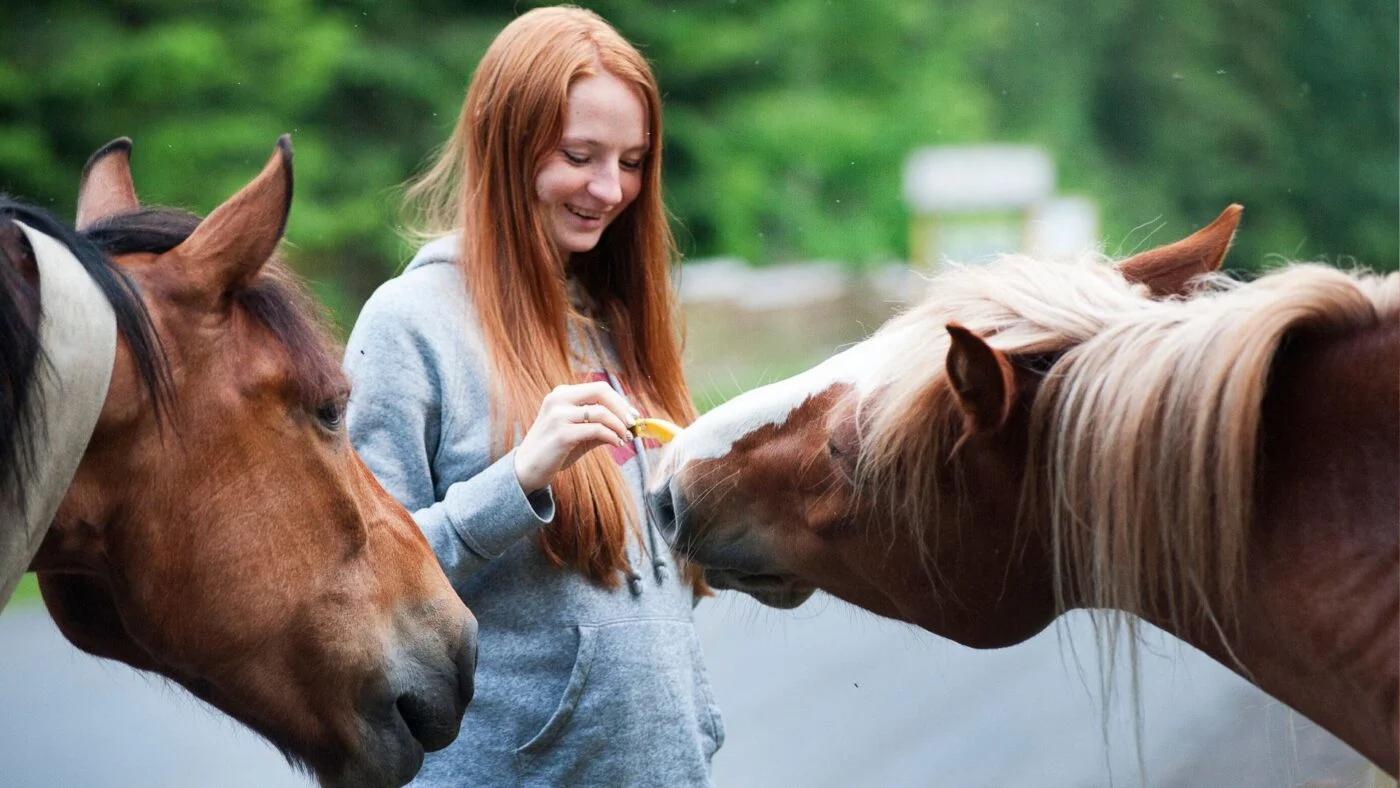 Horses respond positively to calm, soothing tones.