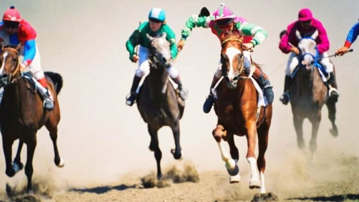 Picture of horses racing,