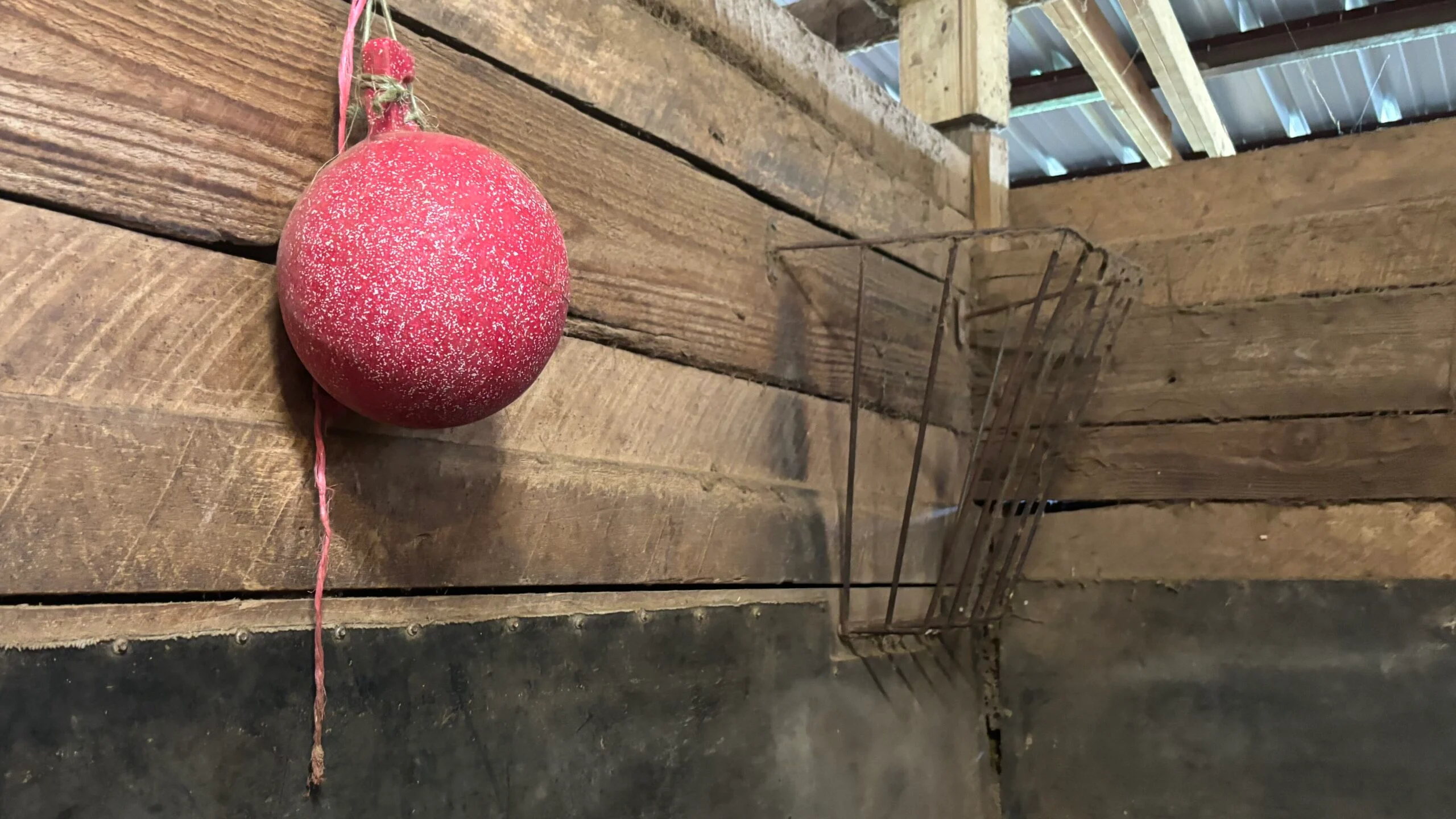 Jolly ball and hay rack we have in our horse stalls.