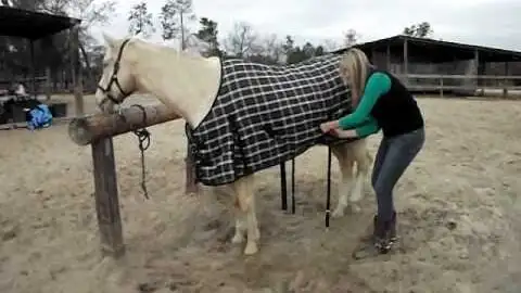 Woman putting blanket on horse, seasonal horse care winter blanketing in Louisiana climate