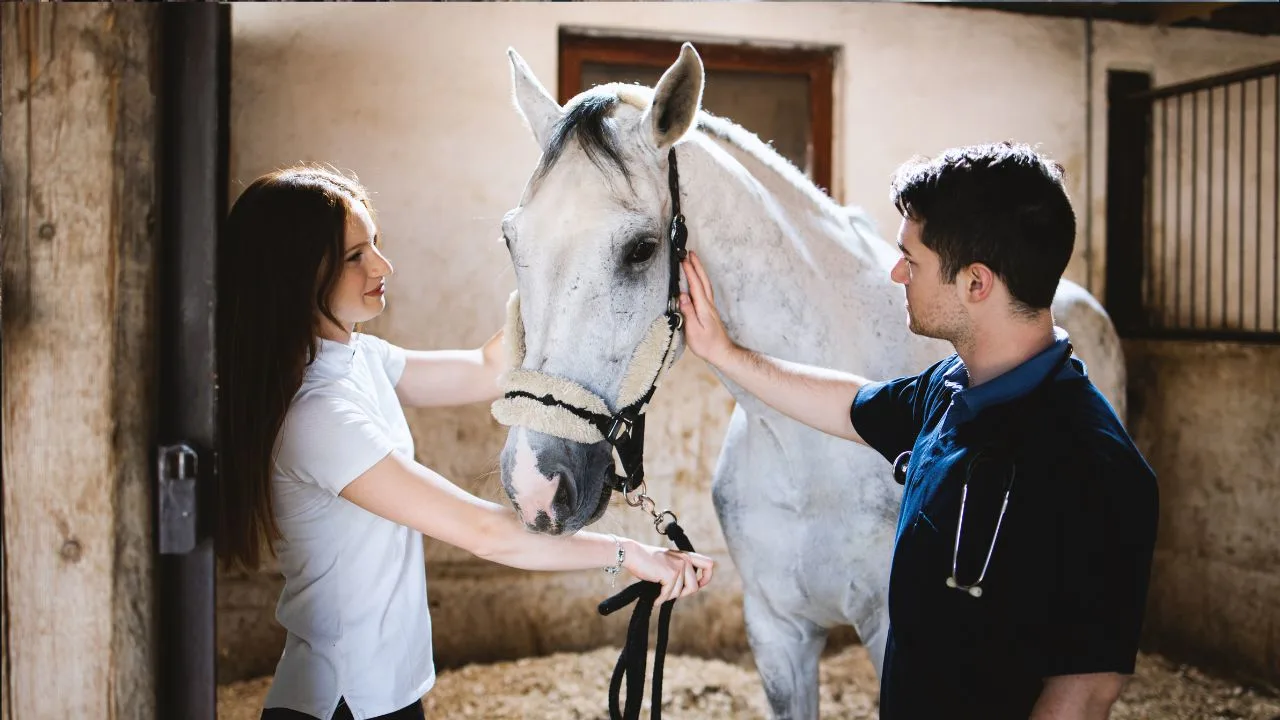 Veterinarian consulting with a horse owner about Coggins testing and vaccinations. 