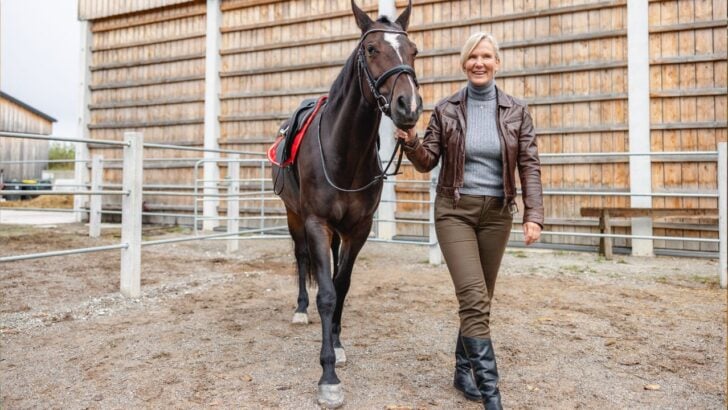 Horse walking for gait observation to detect lameness