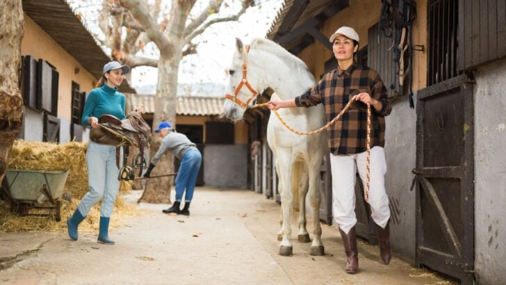 Thoroughbred Genetics: Breeding Champions for Speed