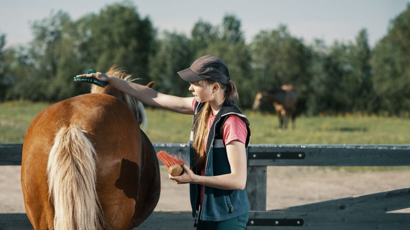 Horse owner using a rubber curry comb in circular motions to groom a bay horse's coat, loosening dirt and distributing natural oils for better shine and skin health.