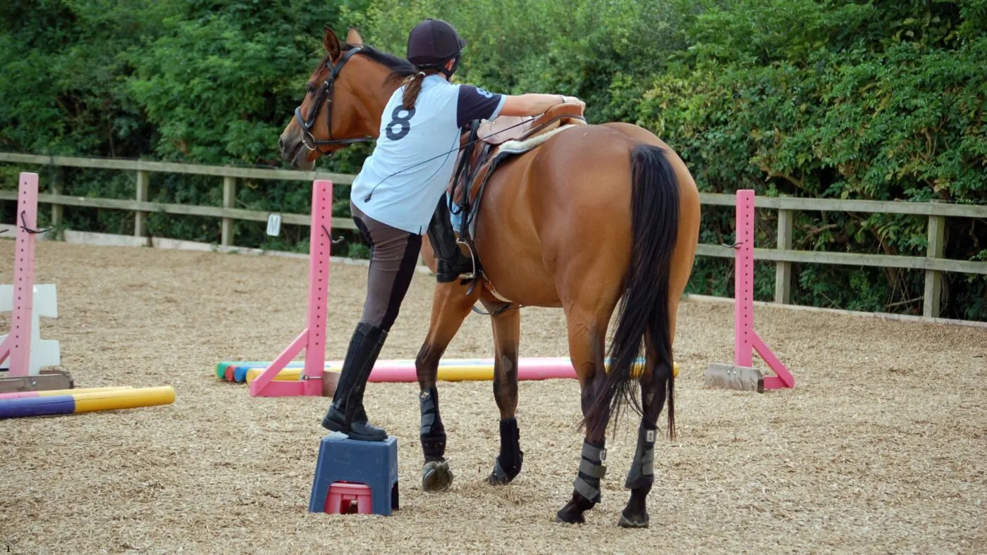 Positive Reinforcement in Horse Training: Strengthening Trust and Performance Horse standing calmly while a person mounts, demonstrating positive reinforcement training benefits.
