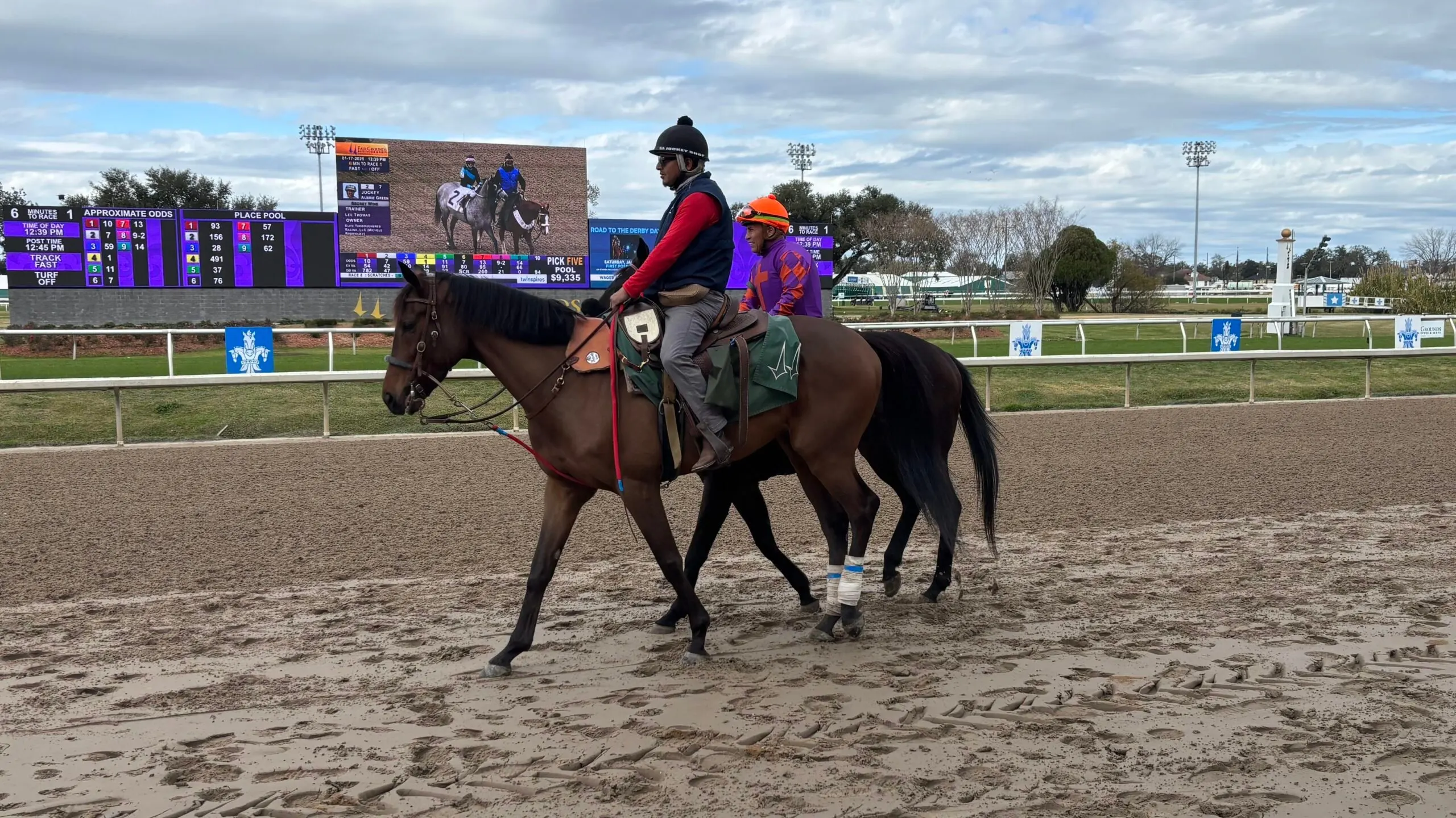 Lead horse calmly guiding a racehorse to the starting gates at the FairGrounds Race Course in New Orleans.