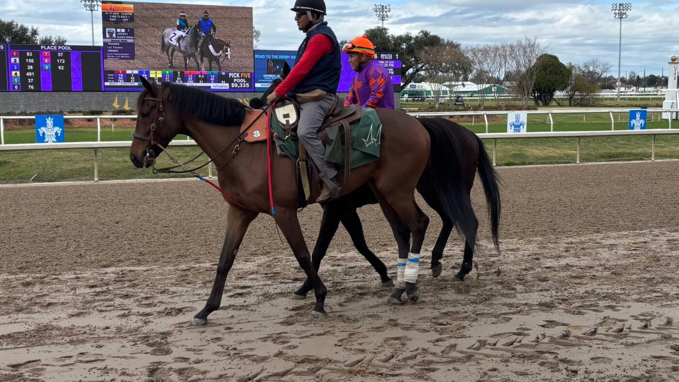 Quarter horse racing at the Fair Grounds in New Orleans. 