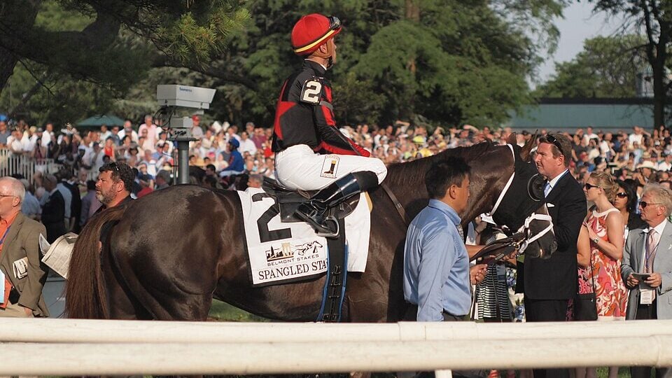 The Test of Champions - Pace, Distance, and Positioning in the Belmont Stakes Horse in paddock before the Belmont Stakes, parading ahead of the race.