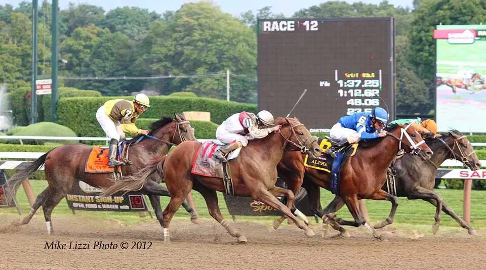 Horses racing at Saratoga Race Course, emphasizing middle positions.