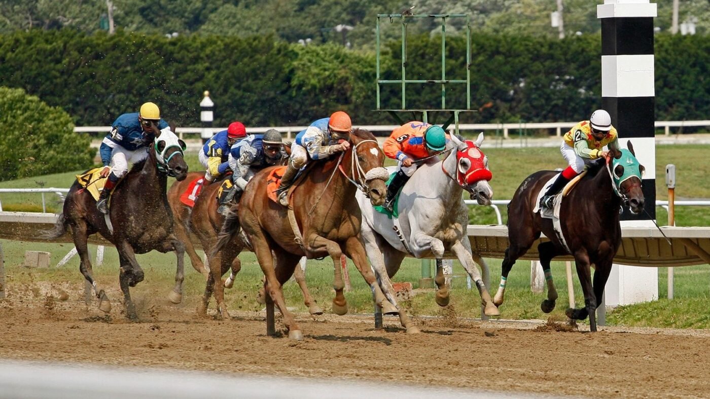 How AI Detects Lameness in Horses Before It’s Too Late Thoroughbred racehorses competing during a flat track race. AI lameness detection can improve health.