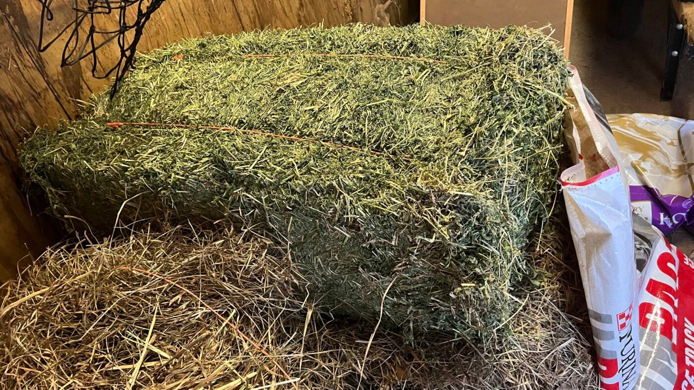 High-quality alfalfa hay bale showing leafy texture suitable for senior horses
