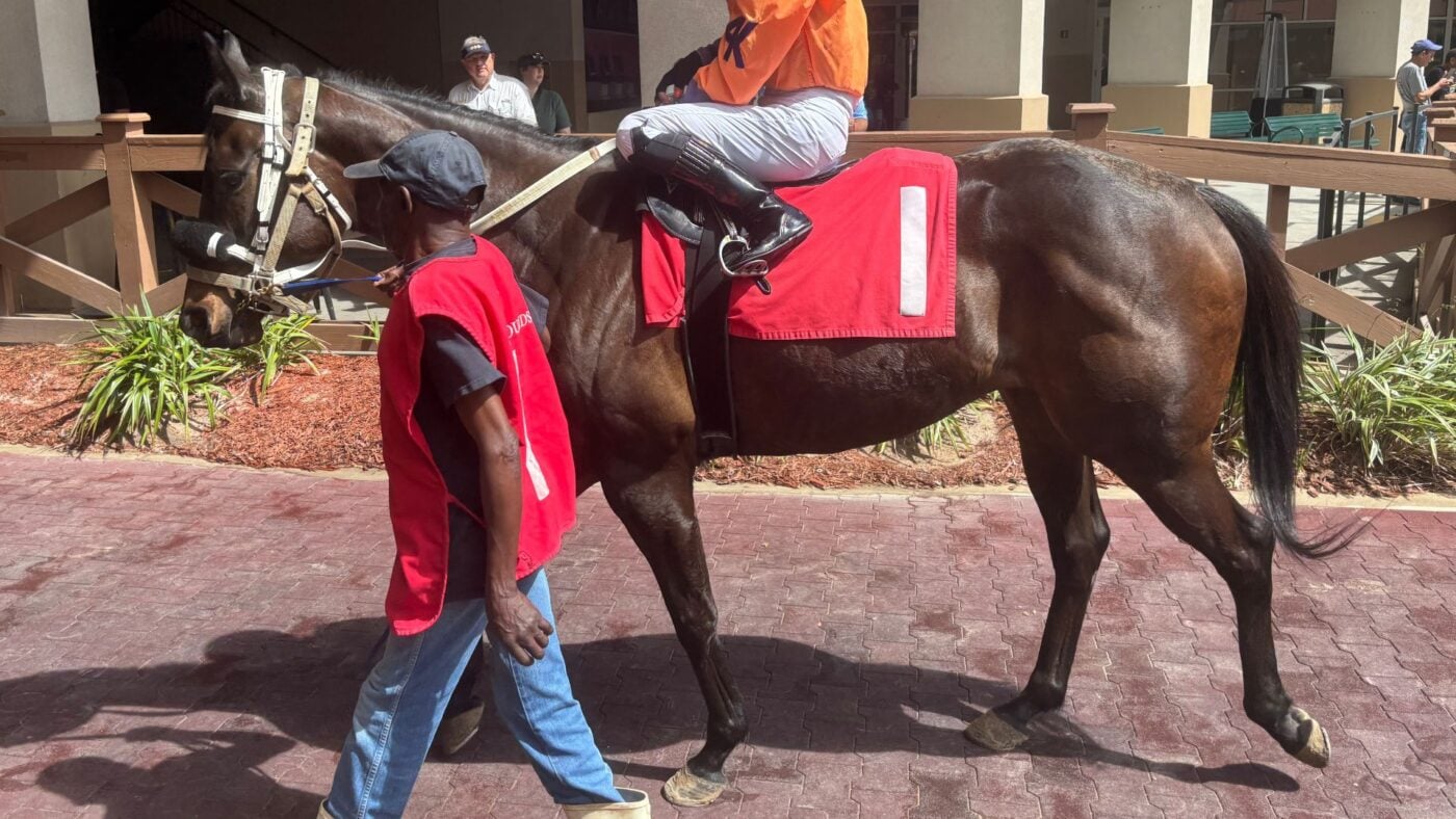 Miles Henry's racehorse walking in the paddock at the New Orleans Fair Grounds before her race.