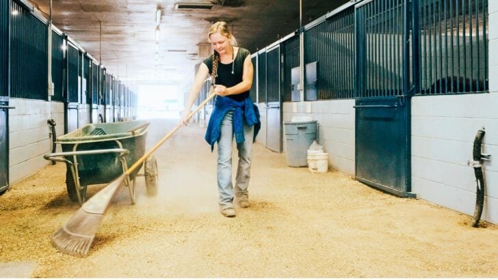 Woman raking tidy horse barn aisle to control dust and improve horse barn air quality.