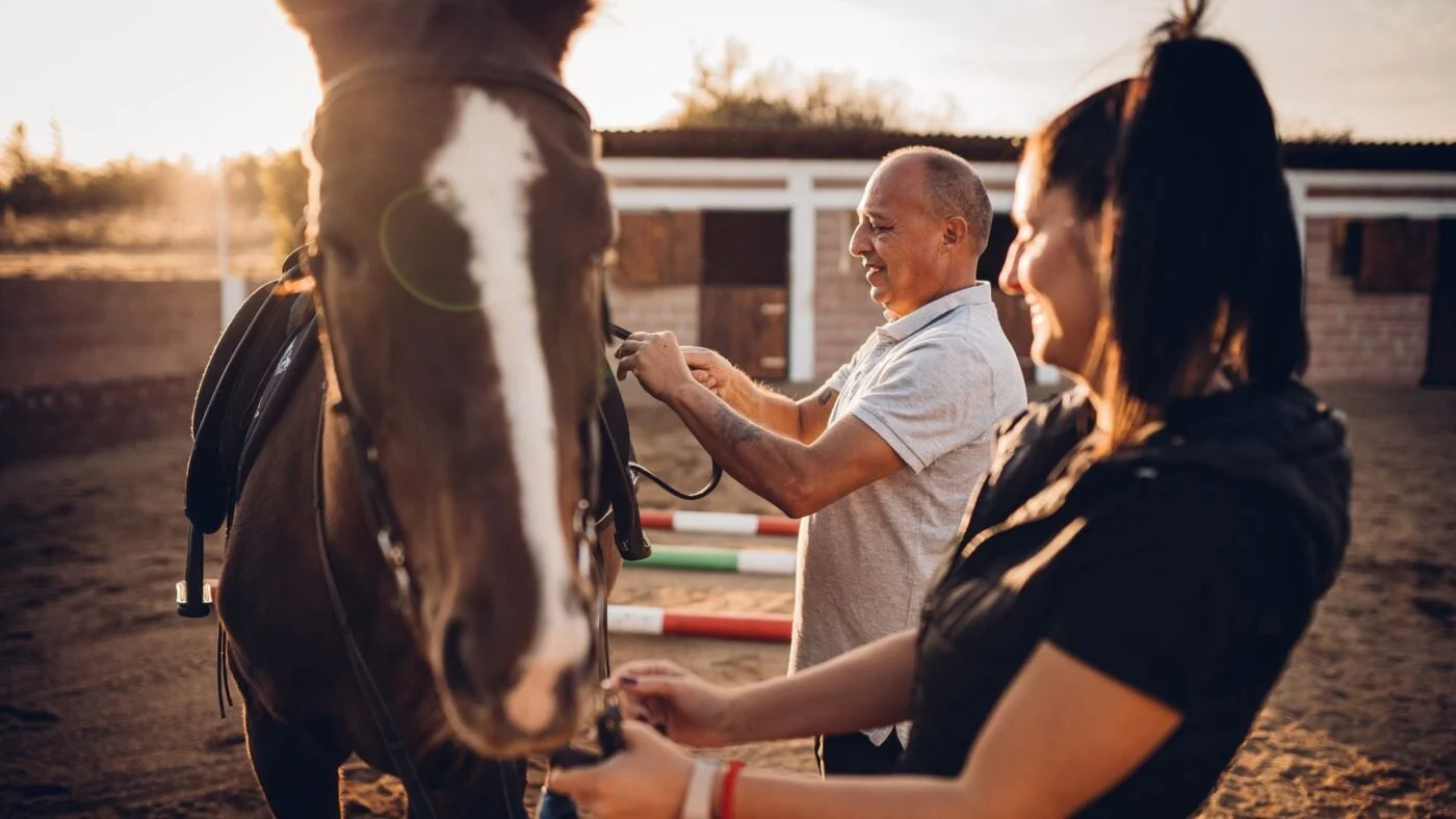 Horse Racing Sense A trainer checks a horse's gear, illustrating the importance of careful management on a racehorse's career length.