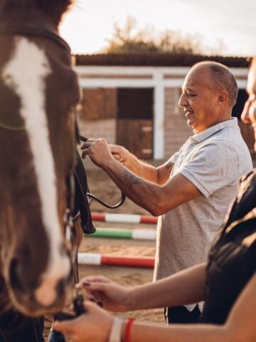 A trainer checks a horse's gear, illustrating the importance of careful management on a racehorse's career length.