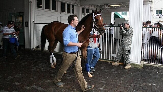 Horses entering the Kentucky Derby paddock saddling area Churchill Downs