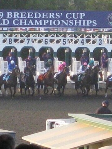 Zenyatta 2009 Breeders Cup Classic Start: Horses break from the gate in the $5 million Classic, which was won by the historic mare Zenyatta. Source: