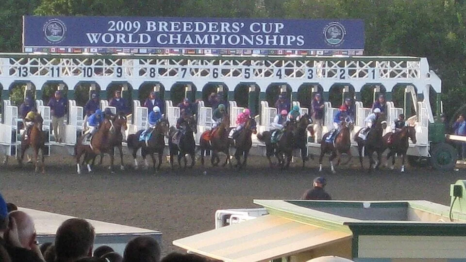 Zenyatta 2009 Breeders Cup Classic Start: Horses break from the gate in the $5 million Classic, which was won by the historic mare Zenyatta. Source: