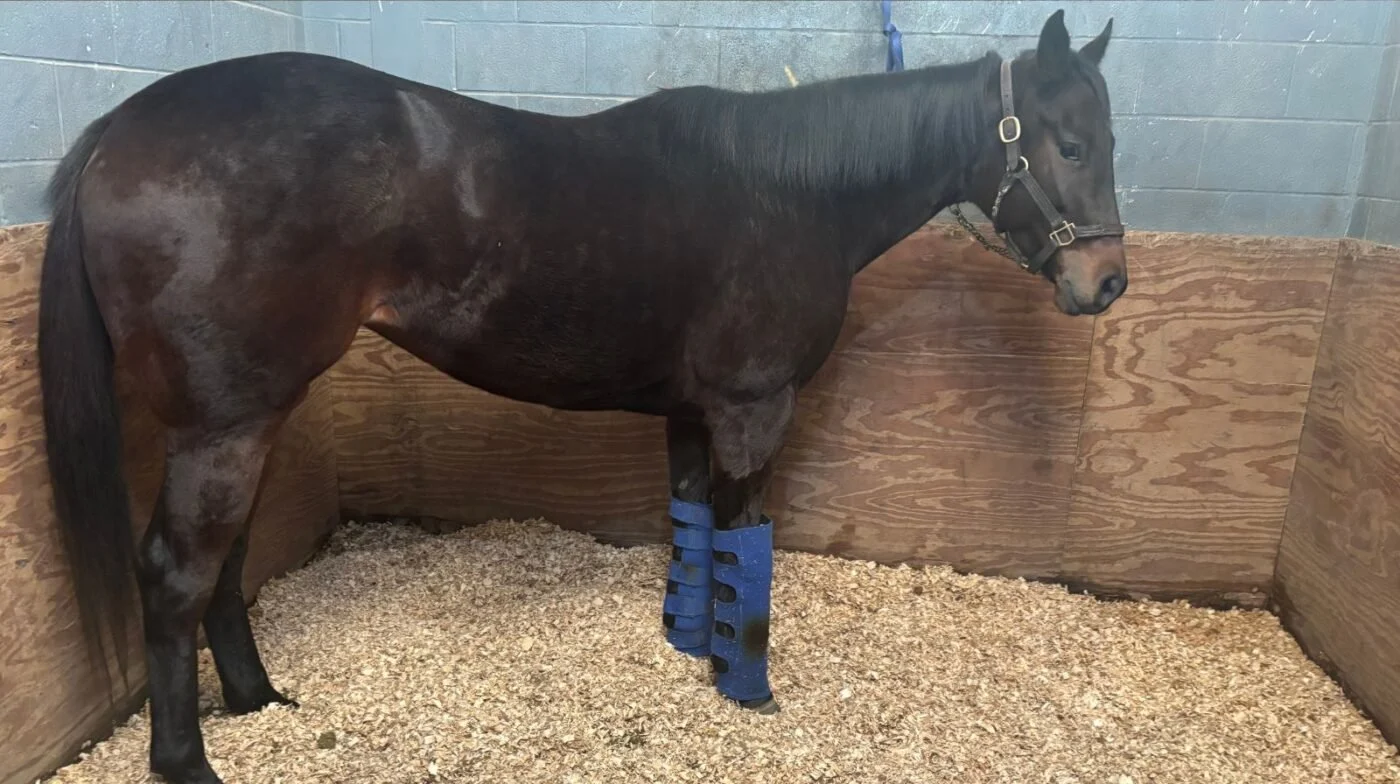 diamond country stall