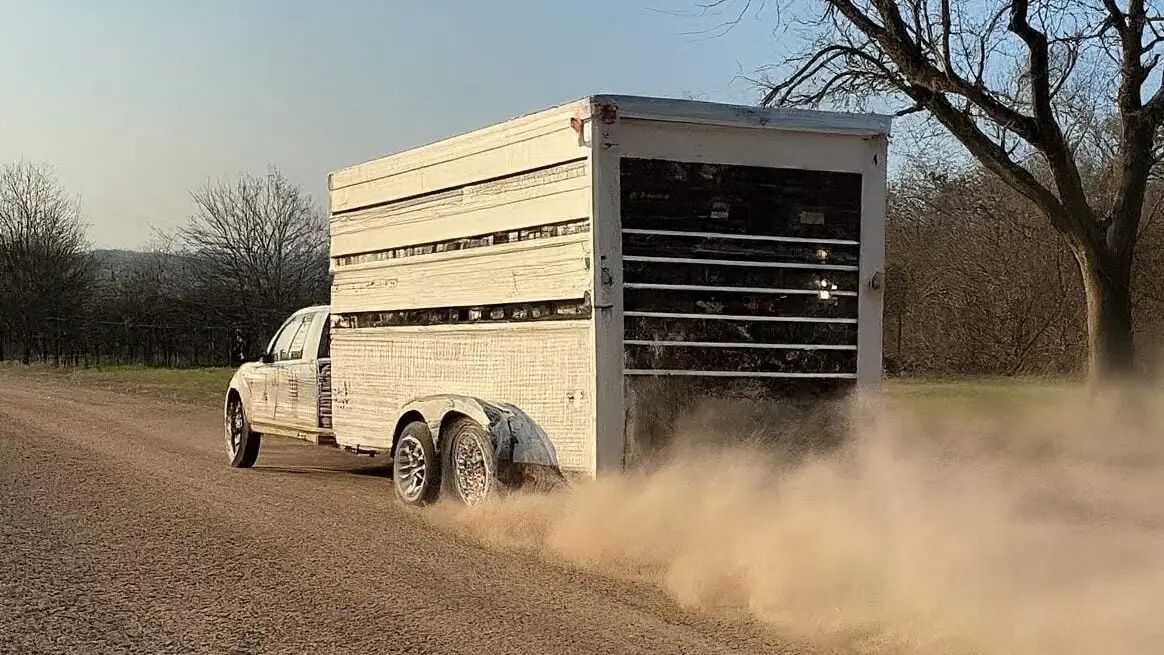 We used a horse trailer to help our horse. 