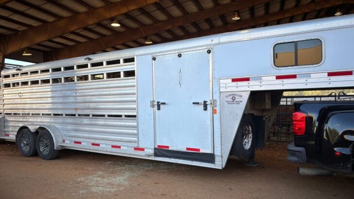 Gooseneck horse trailer, five years old good value.