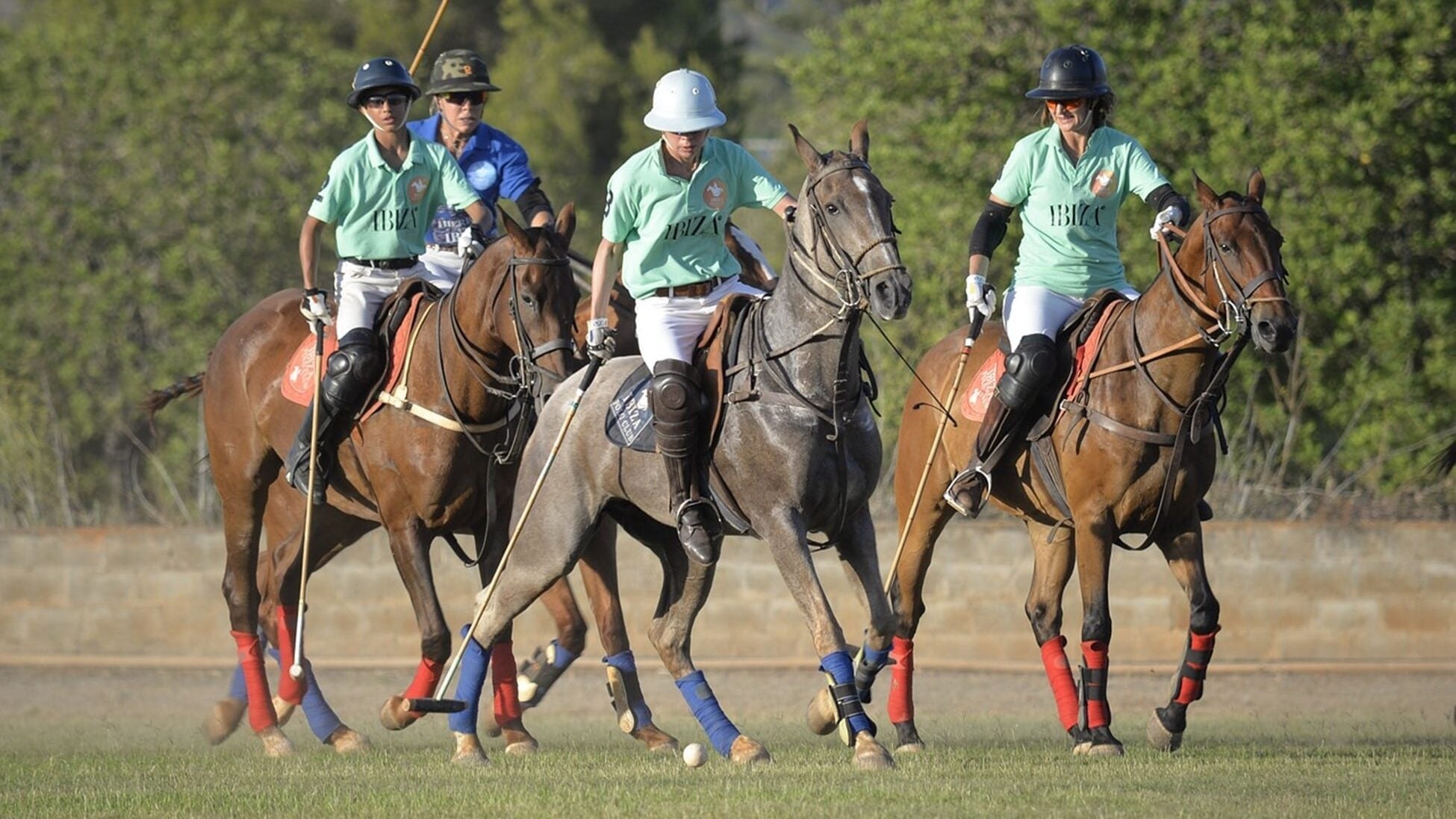 polo pony breeds on the field during a match