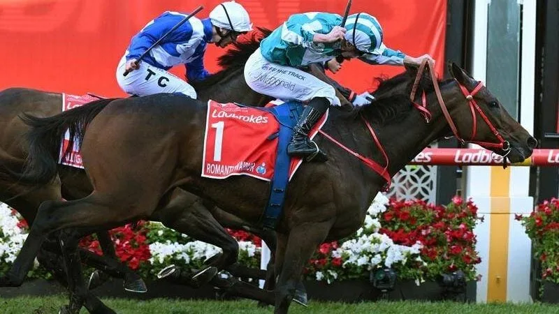 Which racehorse has won the most money? Its Romatic Warrior seen here winning the W.S. Cox Plate