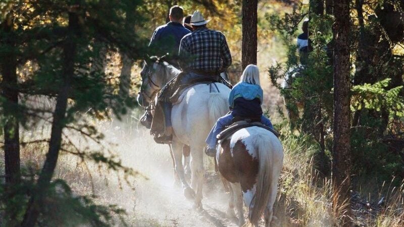 Trail riding in the forest hills, to demonstrate the pace slows according to terrain.
