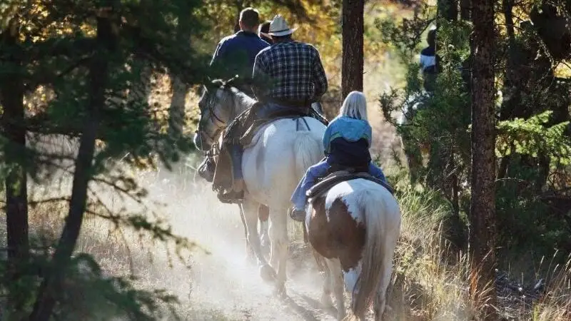 Trail riding in the forest hills, to demonstrate the pace slows according to terrain.