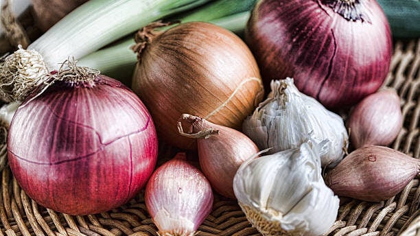 Members of the onion family-shallots, red onions, garlic, shallots, leeks, yellow onions, don't feed to your horses. 