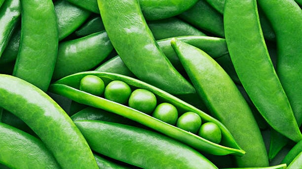 Peas in a bowl, safe treat for horses.