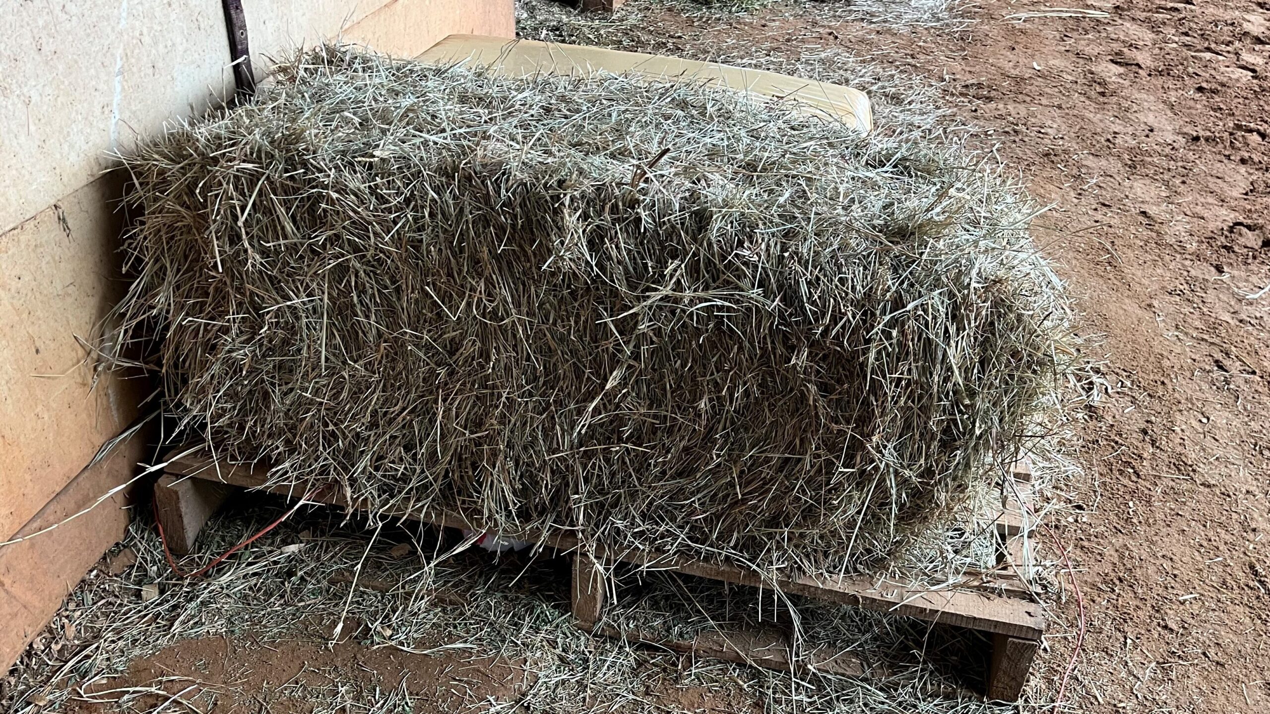 Bermuda hay for horses with 40% legume mix