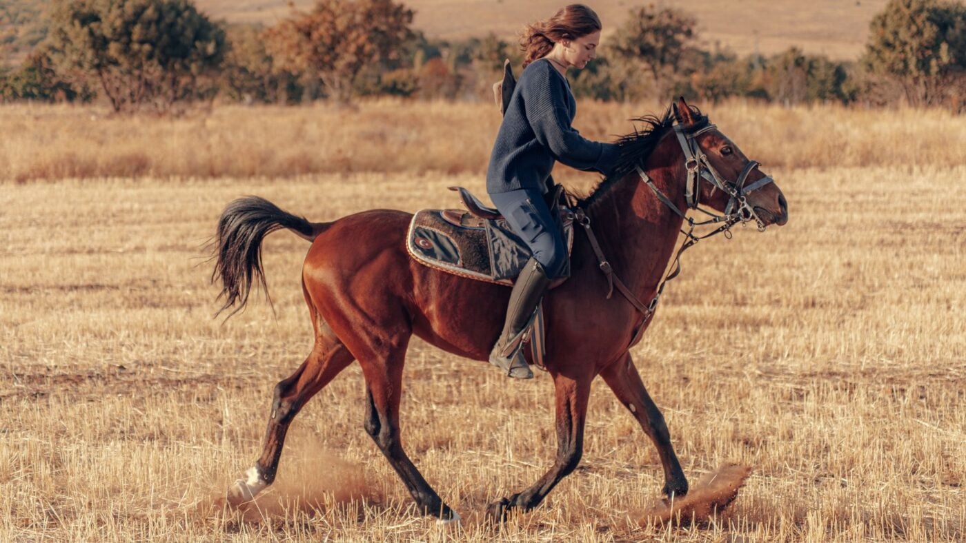 Woman riding a horse in a field wearing leather half chaps and paddock boots