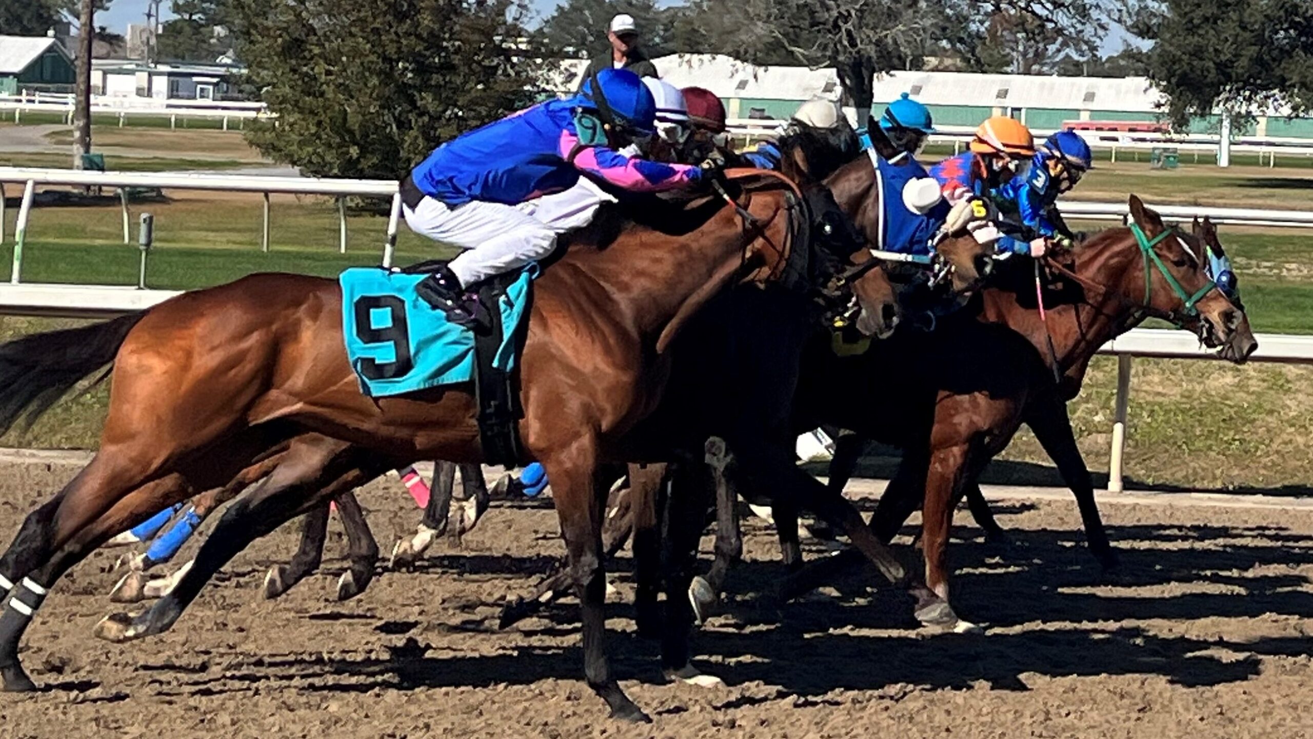 Racehorses breaking from the starting gate