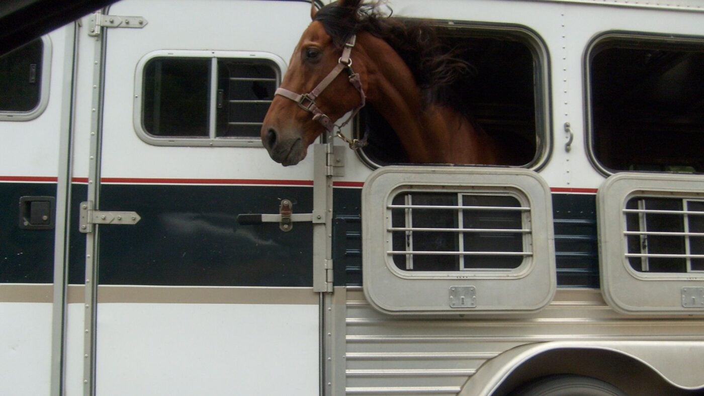 Hauling a horse in a horse trailer.