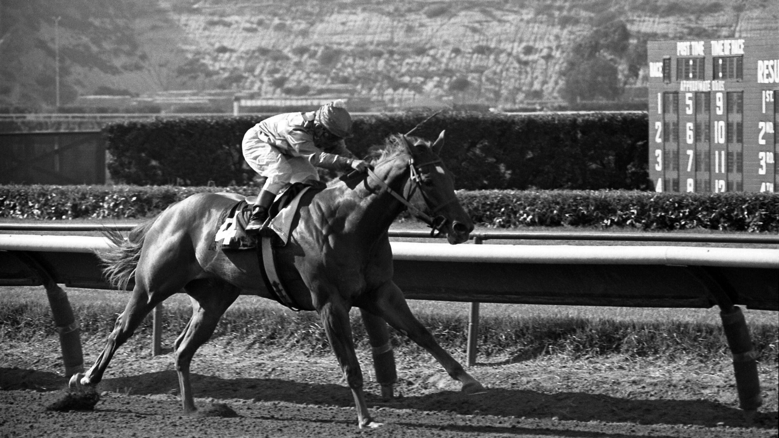 Bill Shoemaker riding at Del Mar racetrack in 1970, the day he won his 6,000th career race &mdash; Del Mar hosts the Grade 1 Pacific Classic and sits along the California coast south of Los Angeles