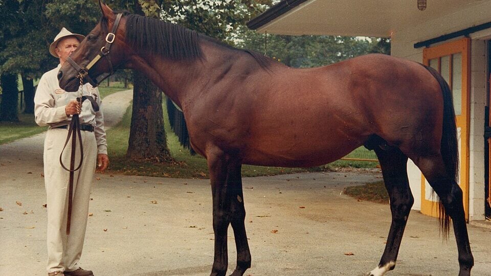 Damascus, Dr. Fager's primary rival and the 1967 Horse of the Year